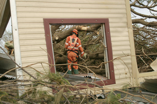 Best Tree Trimming and Pruning  in Englewood Cliffs, NJ